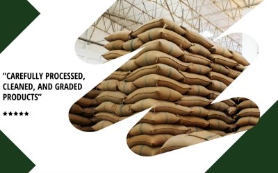 3 Reasons to Choose GSH777 for Your Bulk Agricultural Imports