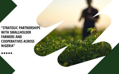 From Farm to Freight: How GSH777 Ensures Quality in Every Export
